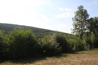 Güney Almanya 'da Frankfurt' un dışındaki Tauber Vadisi civarındaki kırsal bölgede. 