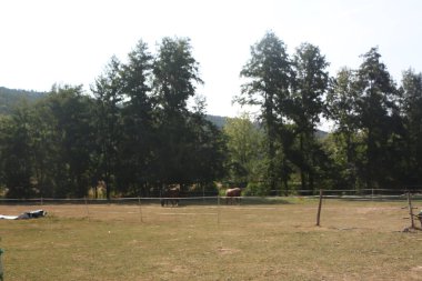 Güney Almanya 'da Frankfurt' un dışındaki Tauber Vadisi civarındaki kırsal bölgede. 