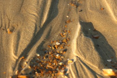 Yazın sonlarına doğru Whitstable, Kent, İngiltere sahillerinde gezinirken su tarafından yapılan kumların manzarasını ve şablonlarını ve çarpan dalgaları görürüz.
