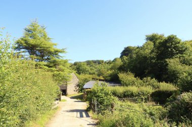 Kuzey Devon 'da yaz güneşinin altında güneşlenerek