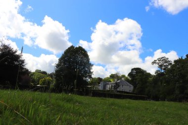 Kuzey Devon 'da yaz güneşinin altında güneşlenerek