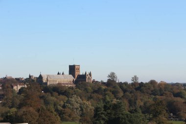 St Albans, Hertfordshire Birleşik Krallık 'ta bir parkta dolaşırken, tüm taşlaşmış ağaçları ve manzaraları görkemli ortaçağ katedrali.