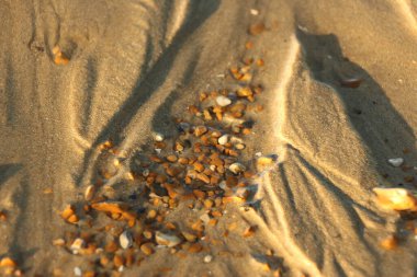 Yazın sonlarına doğru Whitstable, Kent, İngiltere sahillerinde gezinirken su tarafından yapılan kumların manzarasını ve şablonlarını ve çarpan dalgaları görürüz.