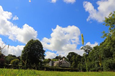 Güney Cornwall sahil şeridinde yaz güneşinin altında güneşlenerek