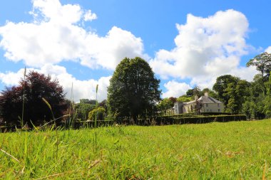 Güney Cornwall sahil şeridinde yaz güneşinin altında güneşlenerek
