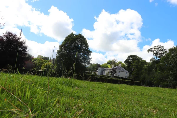 Güney Cornwall sahil şeridinde yaz güneşinin altında güneşlenerek