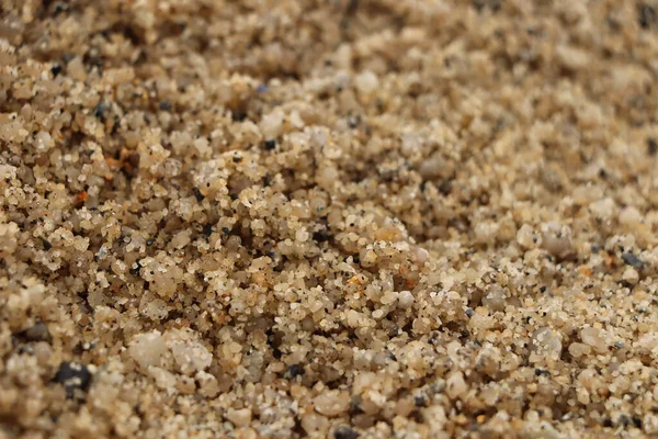 Güney Cornwall sahil şeridinde yaz güneşinin altında güneşlenerek