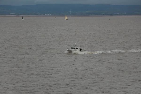 Severn River Seeing Animals Forests Piers Churches Clevedon Somerset Warm — стокове фото