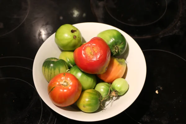 Freshly Picked Tomatoes Ripening Bowl End Summer — Stok fotoğraf