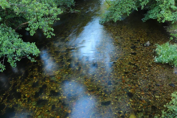 Kuzey Devon 'da yaz güneşinin altında güneşlenerek