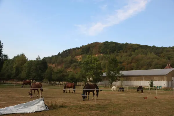 Güney Almanya 'da Frankfurt' un dışındaki Tauber Vadisi civarındaki kırsal bölgede. 