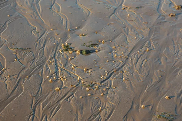 Late Summer Strolling Sands Beaches Whitstable Kent Taking Sights Patterns — Φωτογραφία Αρχείου