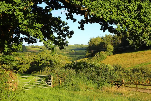 Basking Summer Sun North Devon — Foto Stock