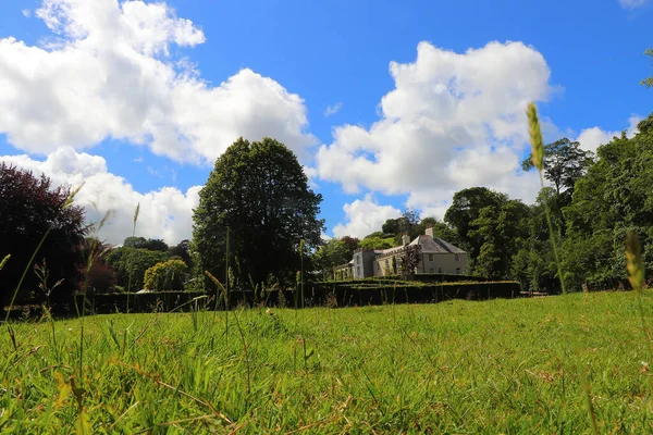 Güney Cornwall sahil şeridinde yaz güneşinin altında güneşlenerek