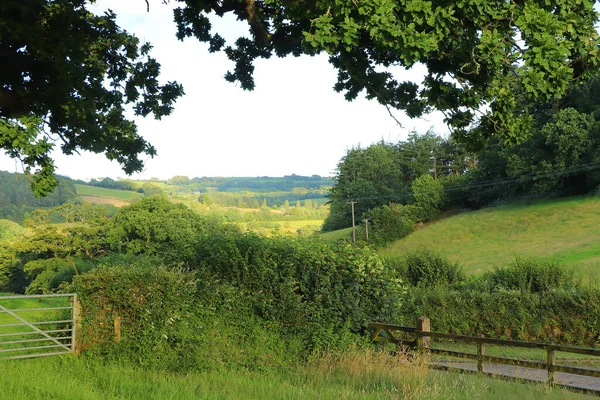Kuzey Devon 'da yaz güneşinin altında güneşlenerek