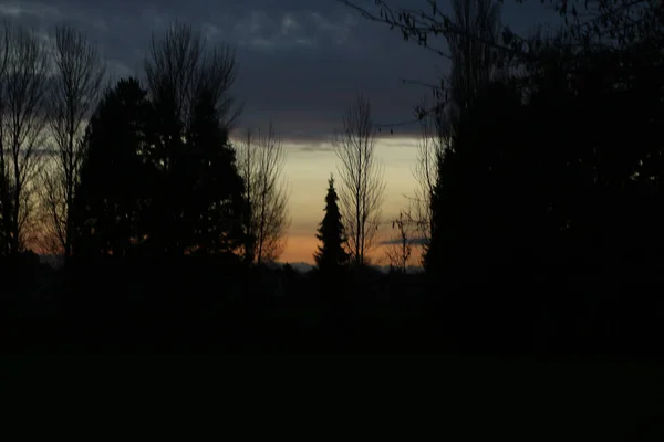 Treetops Church Spires Sunset Hertford — Fotografia de Stock