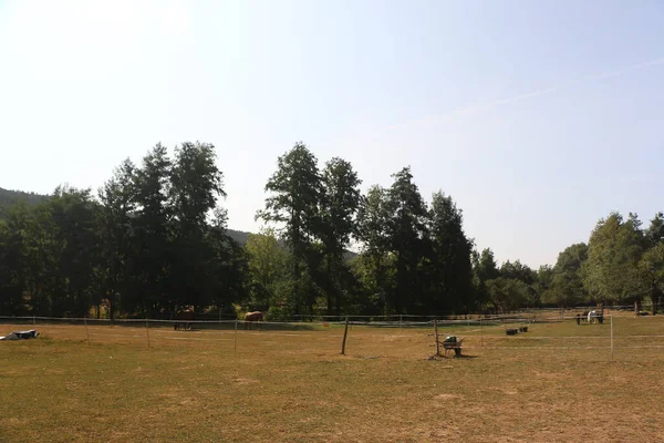 Countryside Tauber Valley Frankfurt South Germany — Stock fotografie