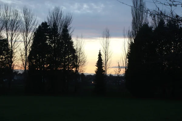 Hertford, İngiltere 'de günbatımında ağaç tepeleri ve kilise kuleleri