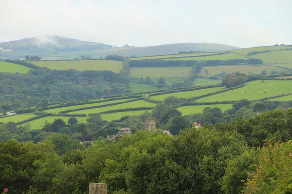 Kuzey Devon 'da yaz güneşinin altında güneşlenerek