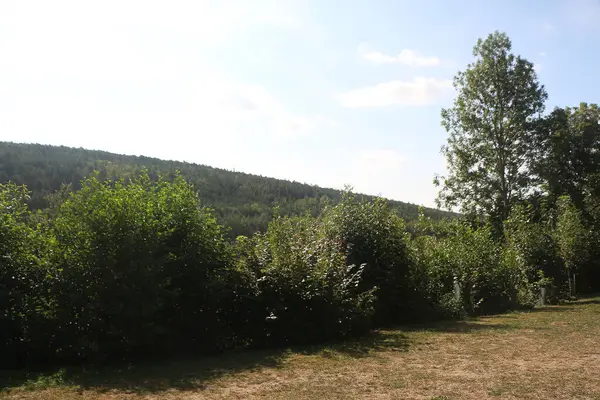 Güney Almanya 'da Frankfurt' un dışındaki Tauber Vadisi civarındaki kırsal bölgede. 