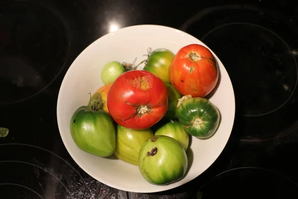 Freshly Picked Tomatoes Ripening Bowl End Summer — Stok fotoğraf