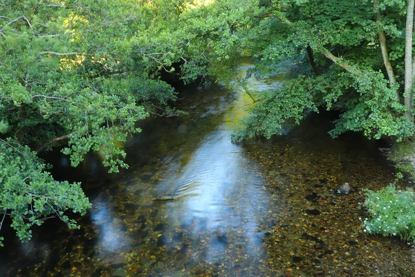 Crogiolarsi Sotto Sole Estivo Nel Nord Devon — Foto Stock