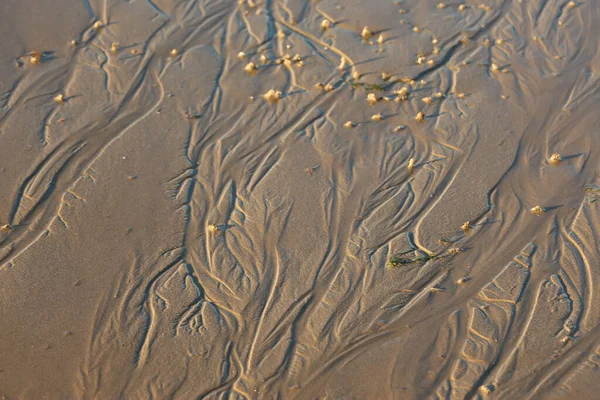 Late summer strolling over the sands on the beaches of Whitstable, Kent, UK taking in the sights and patterns in the sand made by the water and crashing waves