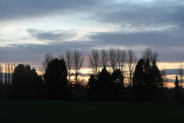 Baumkronen Und Kirchtürme Bei Sonnenuntergang Hertford Großbritannien — Stockfoto