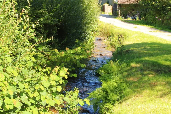 Basking Summer Sun North Devon — Stock fotografie