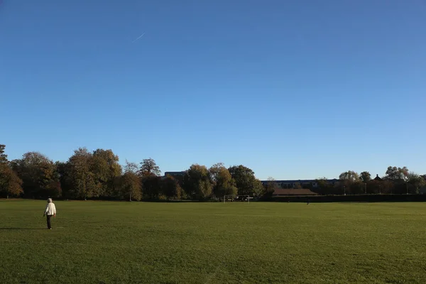 Strolling Park Albans Hertfordshire Seeing All Petrified Trees Views Majestic — Stock Fotó