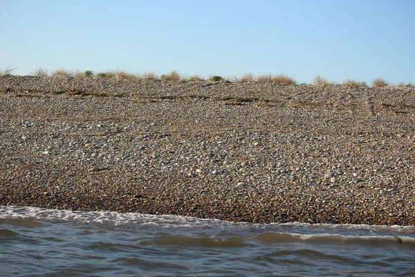 Common Seals Swimming Basking Sun Water Beaches Blakeney Norfolk — Fotografia de Stock