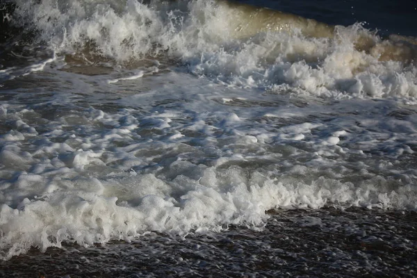 Közös Fókák Úszás Sütkérezés Napon Vízben Strandokon Körül Blakeney Norfolk — Stock Fotó