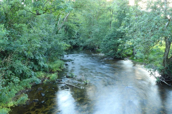 Kuzey Devon 'da yaz güneşinin altında güneşlenerek