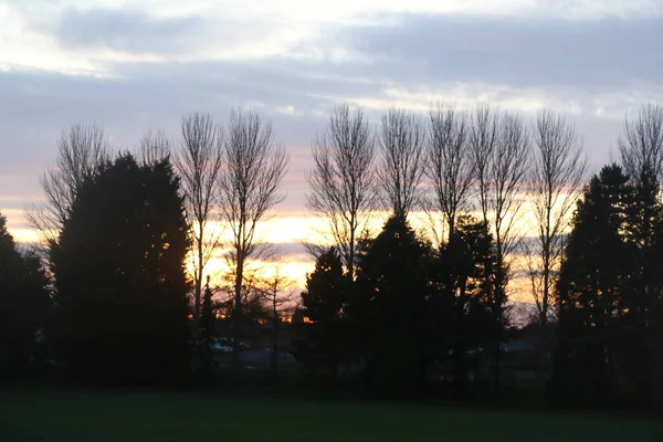 Treetops Church Spires Sunset Hertford — стоковое фото