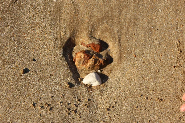 Late summer strolling over the sands on the beaches of Whitstable, Kent, UK taking in the sights and patterns in the sand made by the water and crashing waves