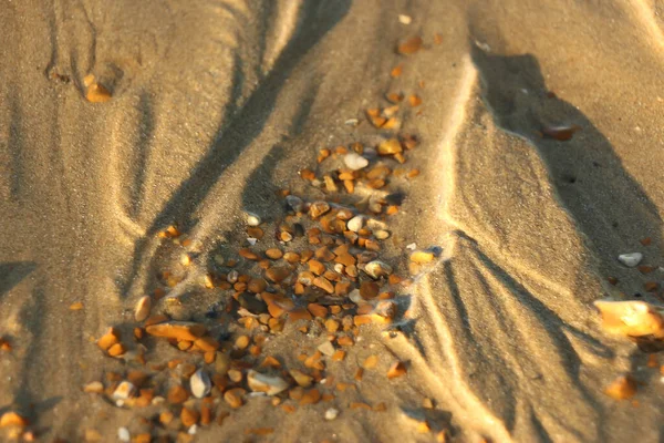 Yazın sonlarına doğru Whitstable, Kent, İngiltere sahillerinde gezinirken su tarafından yapılan kumların manzarasını ve şablonlarını ve çarpan dalgaları görürüz.