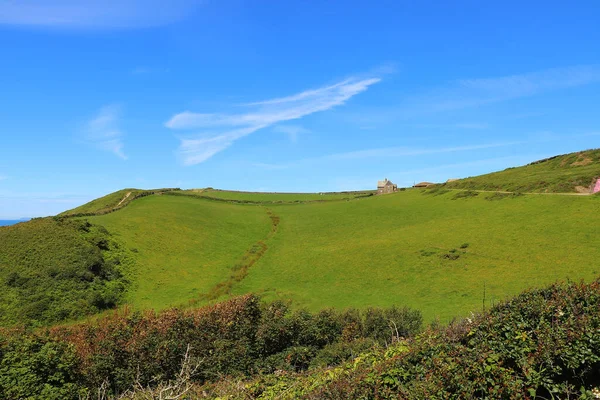 Basking Summer Sun North Devon — Stock Photo, Image