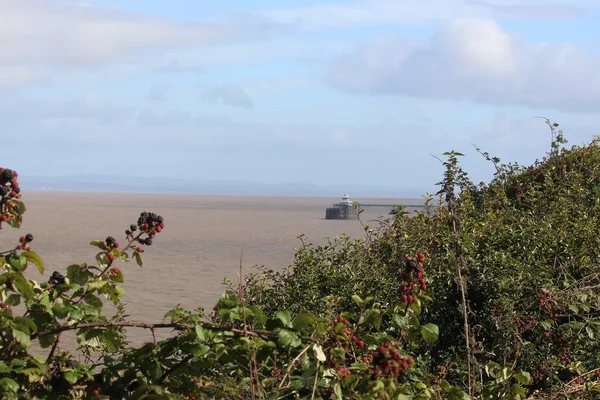 Severn River Seeing Animals Forests Piers Churches Clevedon Somerset Warm — стокове фото