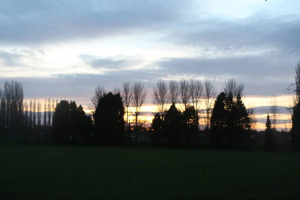 Cime Degli Alberi Guglie Della Chiesa Tramonto Hertford Regno Unito — Foto Stock