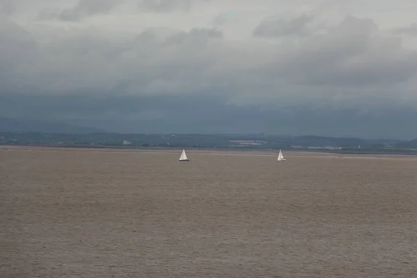 Severn River Seeing Animals Forests Piers Churches Clevedon Somerset Warm — стоковое фото