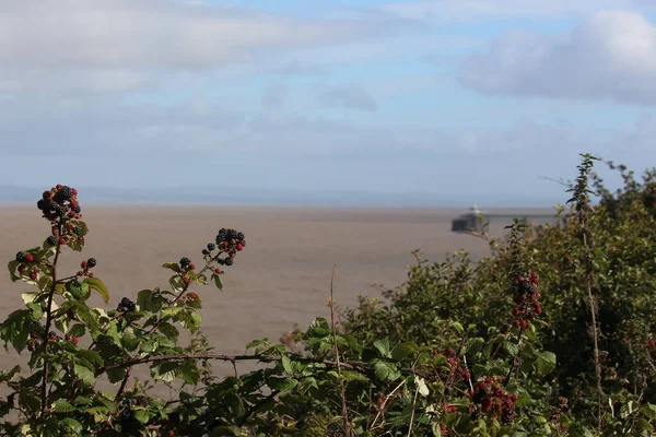 Severn River Seeing Animals Forests Piers Churches Clevedon Somerset Warm — стокове фото