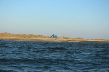 Yüzen ve güneşin altında güneşlenen foklar ve Blakeney, Norfolk, İngiltere etrafındaki plajlar..