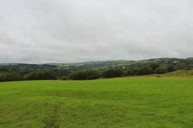 Kuzey Devon 'da yaz güneşinin altında güneşlenerek