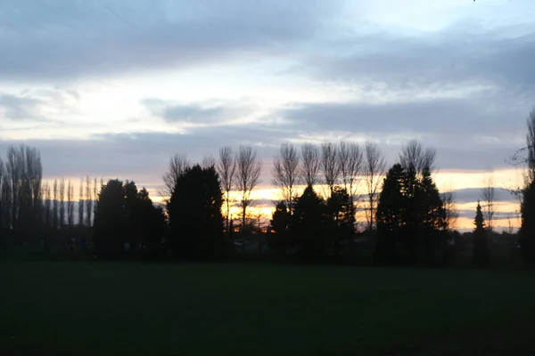 Boomtoppen Kerktorens Bij Zonsondergang Hertford — Stockfoto