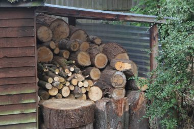 Garden scenes in an old commanders house outside the barracks Town of Bordon in the southern United Kingdom 