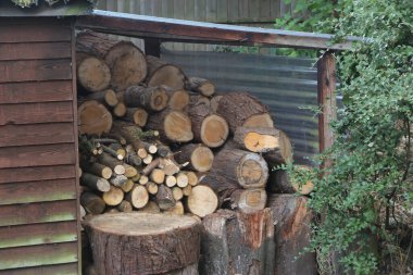 Garden scenes in an old commanders house outside the barracks Town of Bordon in the southern United Kingdom 
