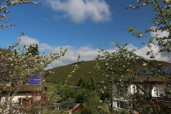 Enjoying the sights and smells of the pines and flower's in the parks around Badenweiler in the Black forest, Southern Germany 