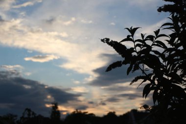 Nighttime over folly Island in Hertfordshire next to Hertford brewery