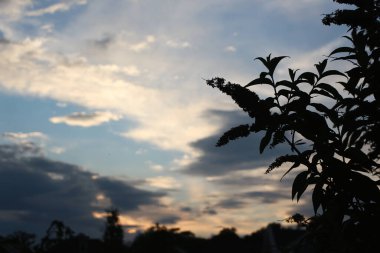 Nighttime over folly Island in Hertfordshire next to Hertford brewery