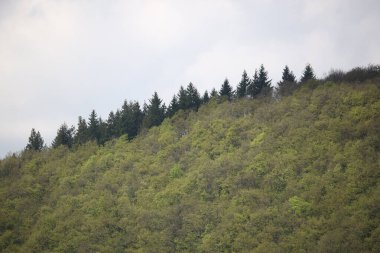 Sweeping views over the tree lined and occasionally snowy valleys and hills of the Black forest around Badenweiler in southern Germany near the border with Switzerland at the heart of Europe